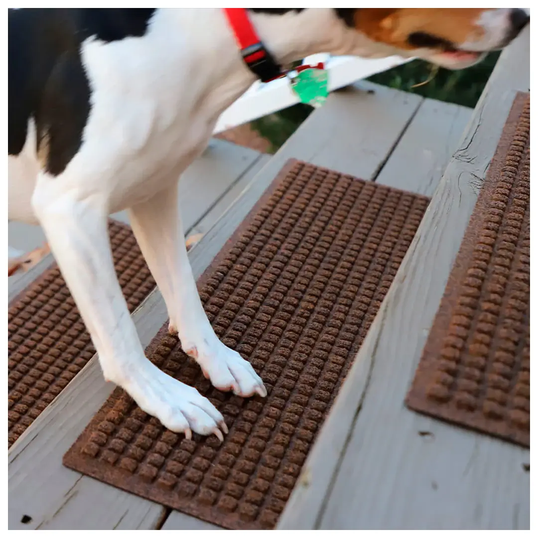 Head-to-Head Comparison Template